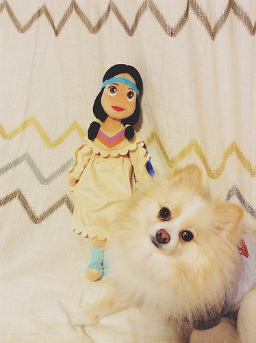 8721492559_787f010975