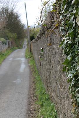 Exploring The Lane