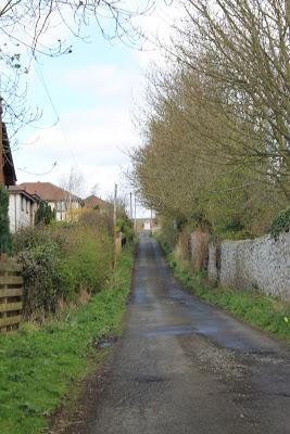 Exploring The Lane