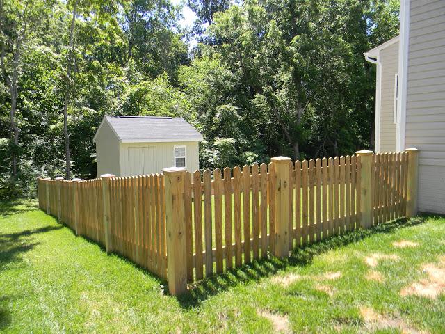 Shed and Fence Completed!!