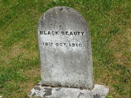 black beauty gravestone - powerscourt - wicklow - ireland