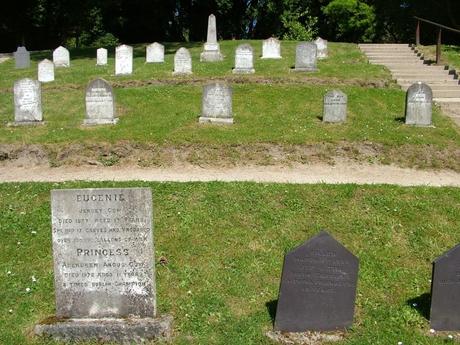 gravestones in Pets Cemetery - Powerscourt - Wicklow - Ireland