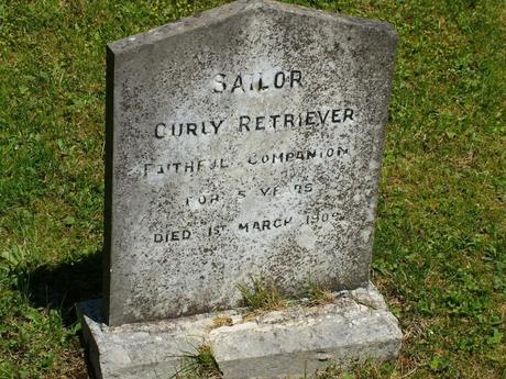 sailor curly retriever tombstone - powerscourt - wicklow - ireland