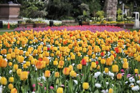 The Nightly London Photoblog 09:05:13 The Nightly London Photoblog 09:05:13