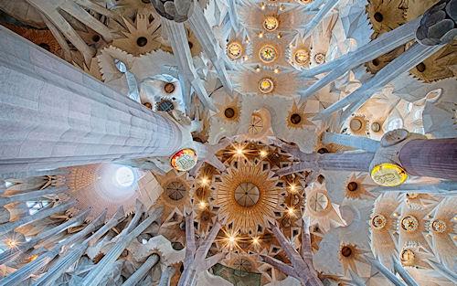 Hypnotic Views Of The Sagrada Familia Ceiling