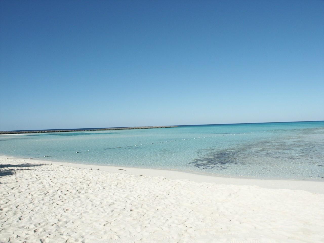 Dreaming of life on the high seas