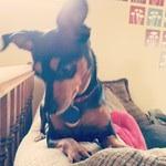 * last weekend 5.3 - 5.5