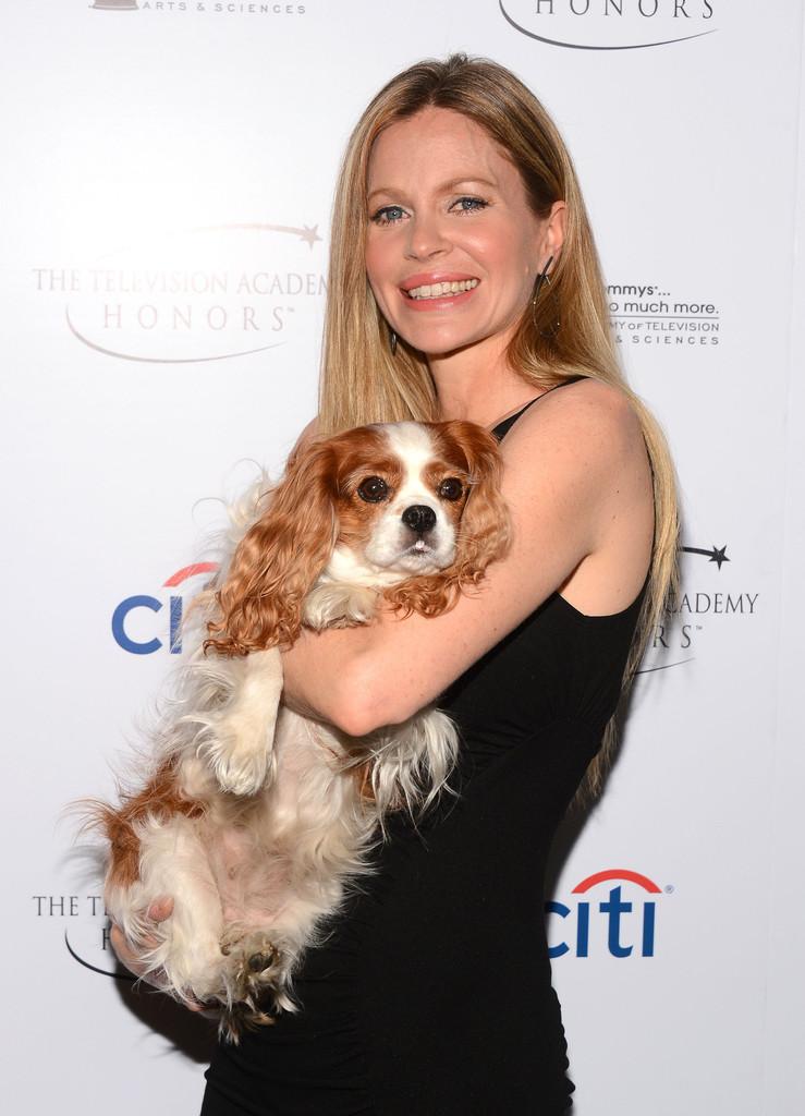 Kristin Bauer van Straten at 6th Annual Television Academy Honors Mark Davis Getty 2