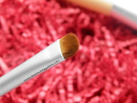REVIEW | Virginia Olsen Short Shader & Sculpting Brush
