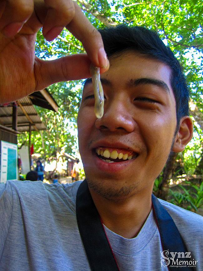 Bizarre Food | Kinilaw na Tamilok (Woodworm/Shipworm)