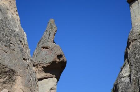 a rock that looks like a rabbits head in goreme