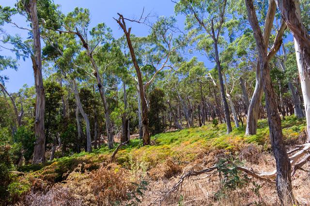 Mount Alexander, Victoria - Paperblog