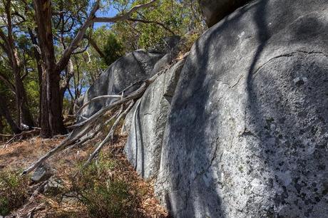 boulders scorpion rocks west ridge walking track 