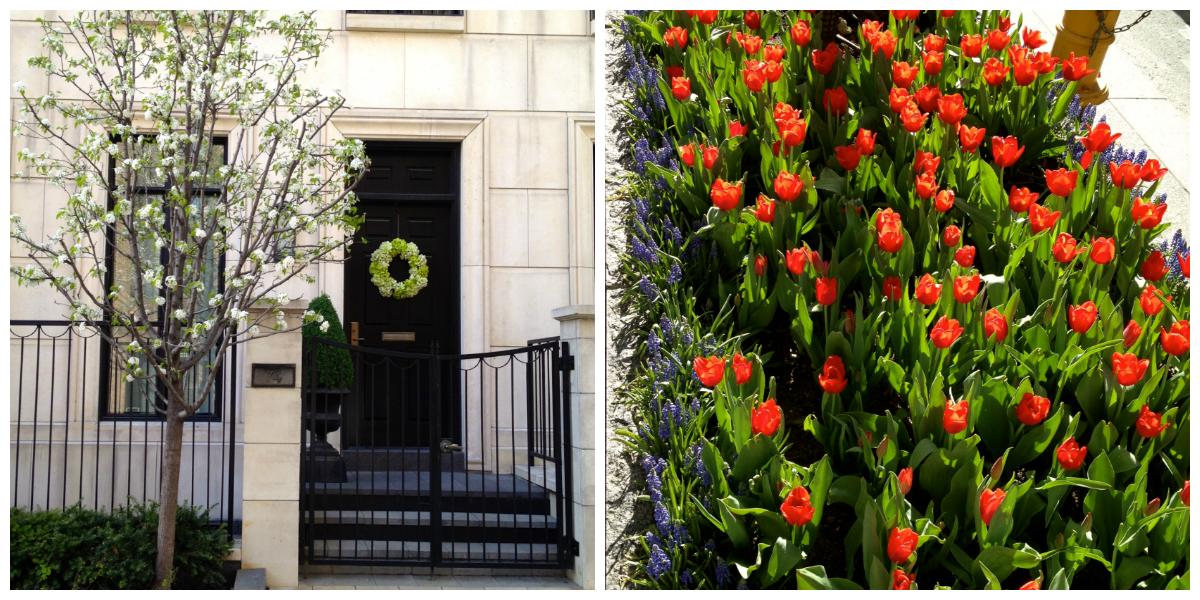 Step Up The Fancy: Stopping to Smell the Tulips on Bloor Street