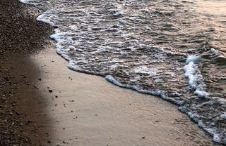 Shore Line by Stephanie Wallace