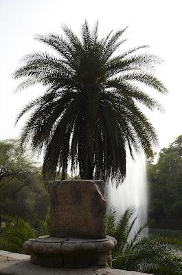 Lodi Gardens, New Delhi (Photographs)