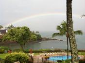 Maui Rainbow