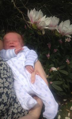 Weekly Round Up Weekly Round Up