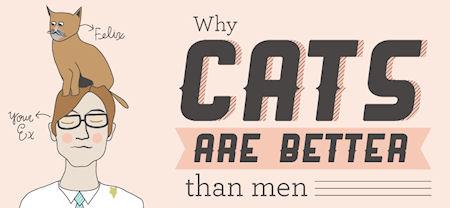 Why Cats Are Better Than Men