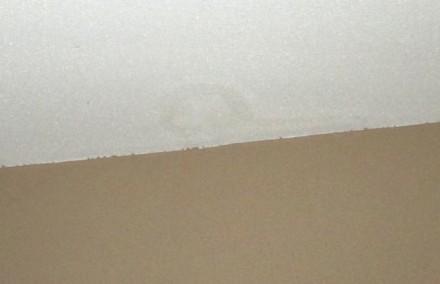 Ceiling Stain From Ice Dam