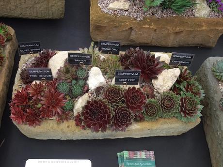 Malvern Spring Show