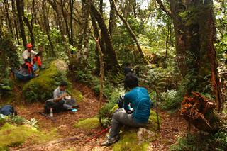 The Ups and Downs of Mt. Apo