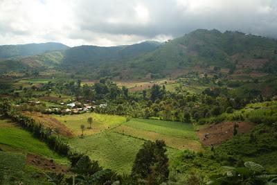 The Ups and Downs of Mt. Apo