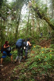 The Ups and Downs of Mt. Apo