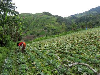 The Ups and Downs of Mt. Apo