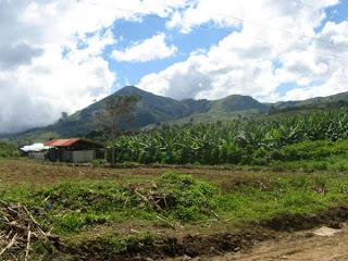 The Ups and Downs of Mt. Apo