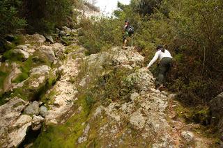 The Ups and Downs of Mt. Apo