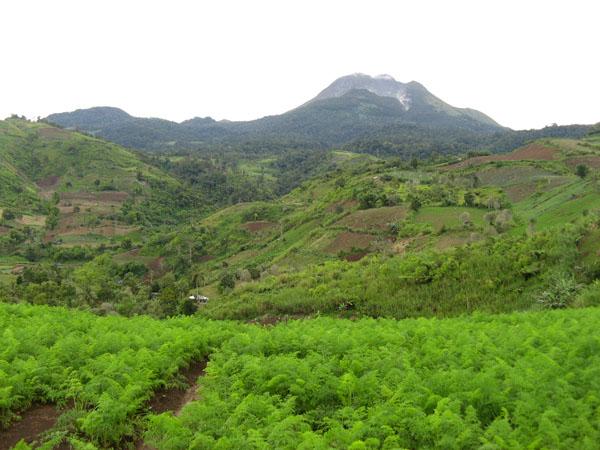 The Ups and Downs of Mt. Apo