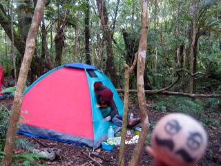 The Ups and Downs of Mt. Apo