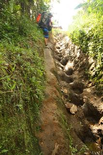 The Ups and Downs of Mt. Apo