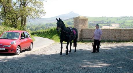 Chris with race horse and Sugar Loaf Mountain in distance - Onagh Farm - Enniskerry - Wicklow - Ireland