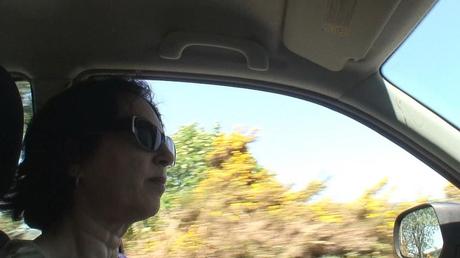jean watches cars ahead - enniskerry - ireland