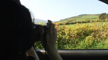 Jean takes a picture of Sugar Loaf Mountain - - Wicklow - Ireland