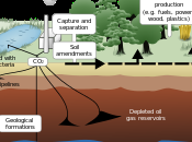 Announces ‘Breakthrough’ Carbon Capture