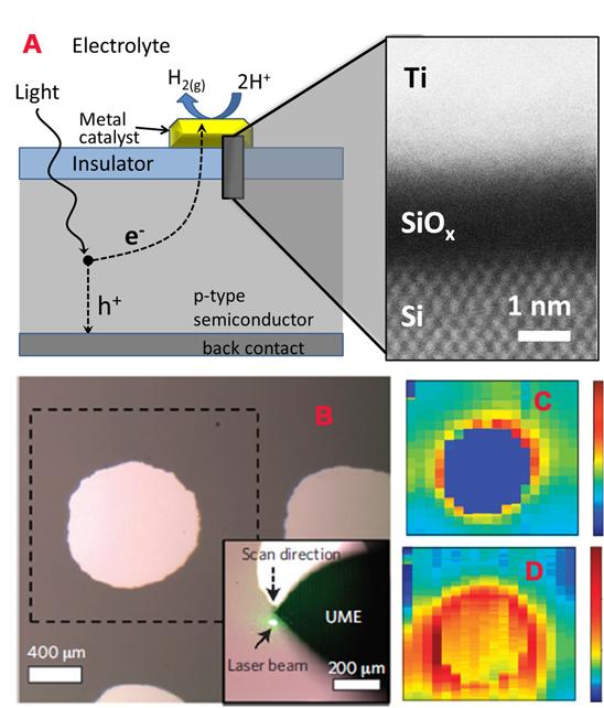 Multiple views of NIST's photoelectrochemical hydrogen cell. Side schematic [A] shows princial components of the cell. Electrodes on the top are titanium toped with platinum. An incoming photon generates a electron (e) and hole (h). Microscope image [B] shows top of the cell surface with cylinderical electrodes and scanning laser beam. Photo-current scan [C] shows relatively high current around the base of the electrodes, while the electrochemical scan [D] shows a complex pattern of hydrogen generation on and around the electrode (Credit: Esposito, Levin/NIST)