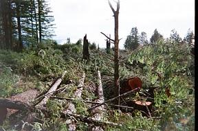 EF! Humboldt Drops Awesome Banner by Strawberry Rock on Hwy 101