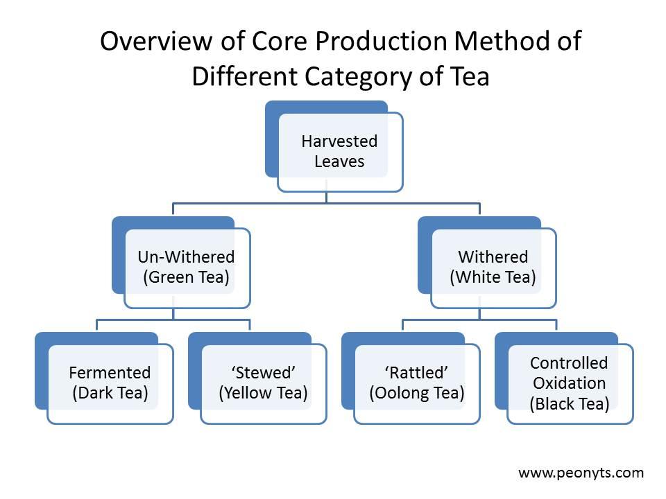 The Health Benefits of Different Types of Teas- Part I