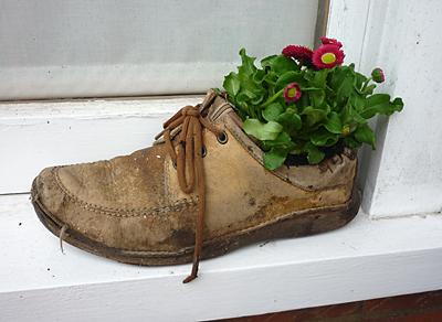 Gardening in your old shoes