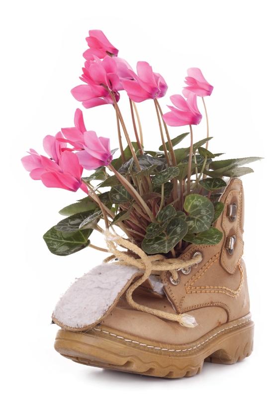 Gardening in your old shoes