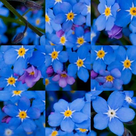 artborghi - forget me not - stages of development