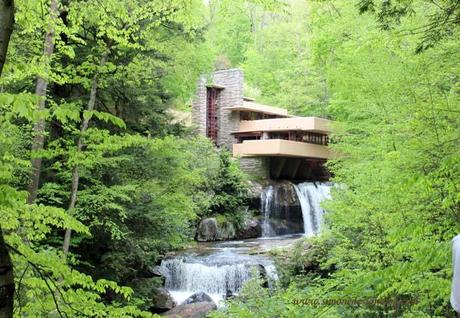 design Fallingwater3 The Beauty of Frank Lloyd Wrights Fallingwater HomeSpirations