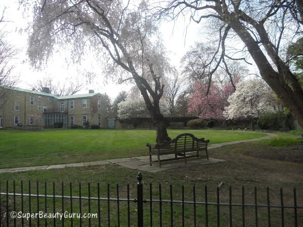 Philadelphia Universiy quad