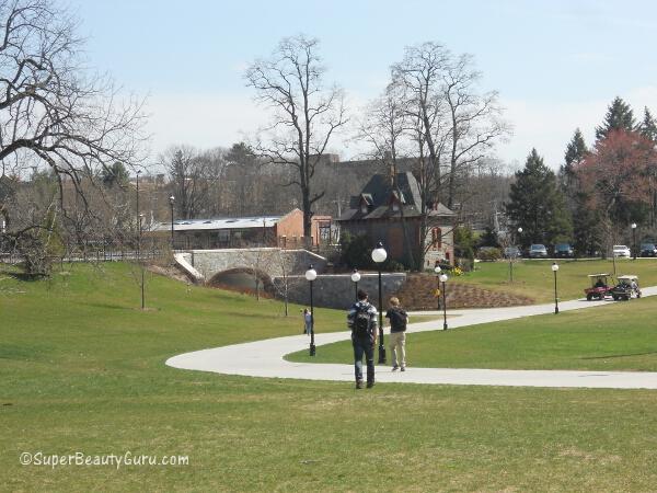 Marist Bridge