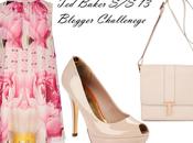 Baker Blogger Competition