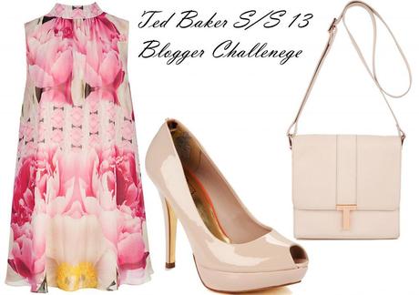 Ted Baker S/S 13 Blogger Competition