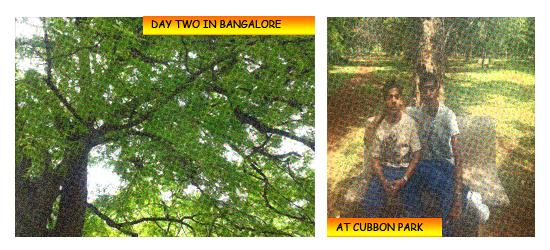 Bangalore Vistas : A Comic Strip